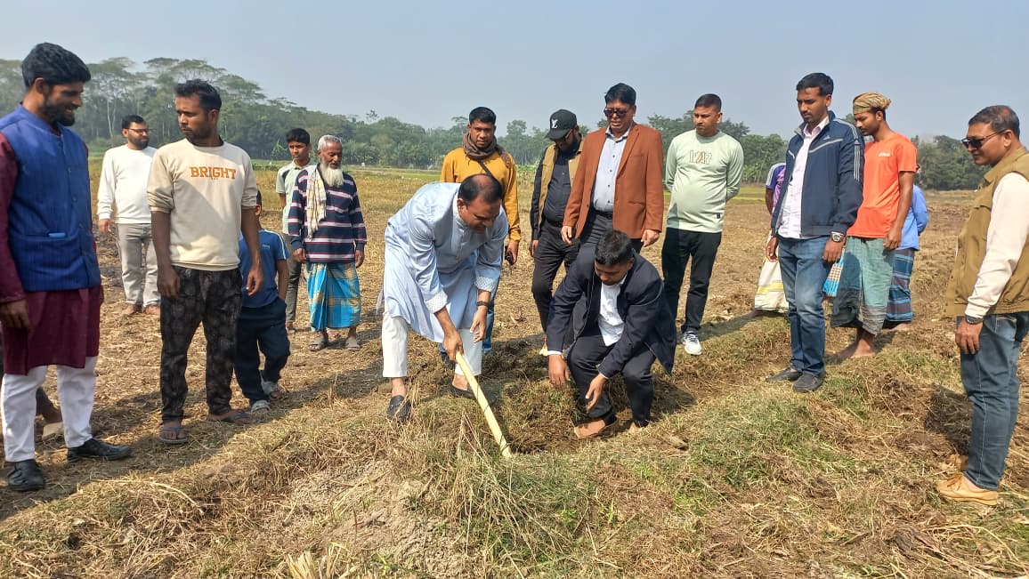 Gallery 697dd2453c8fbb0710e06c96